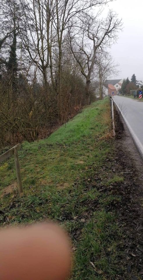 Schrebergarten zu vermieten oder verkaufen in Eckenroth