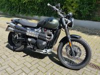 Triumph Street Scrambler 900ccm, Top Zustand Östliche Vorstadt - Steintor  Vorschau