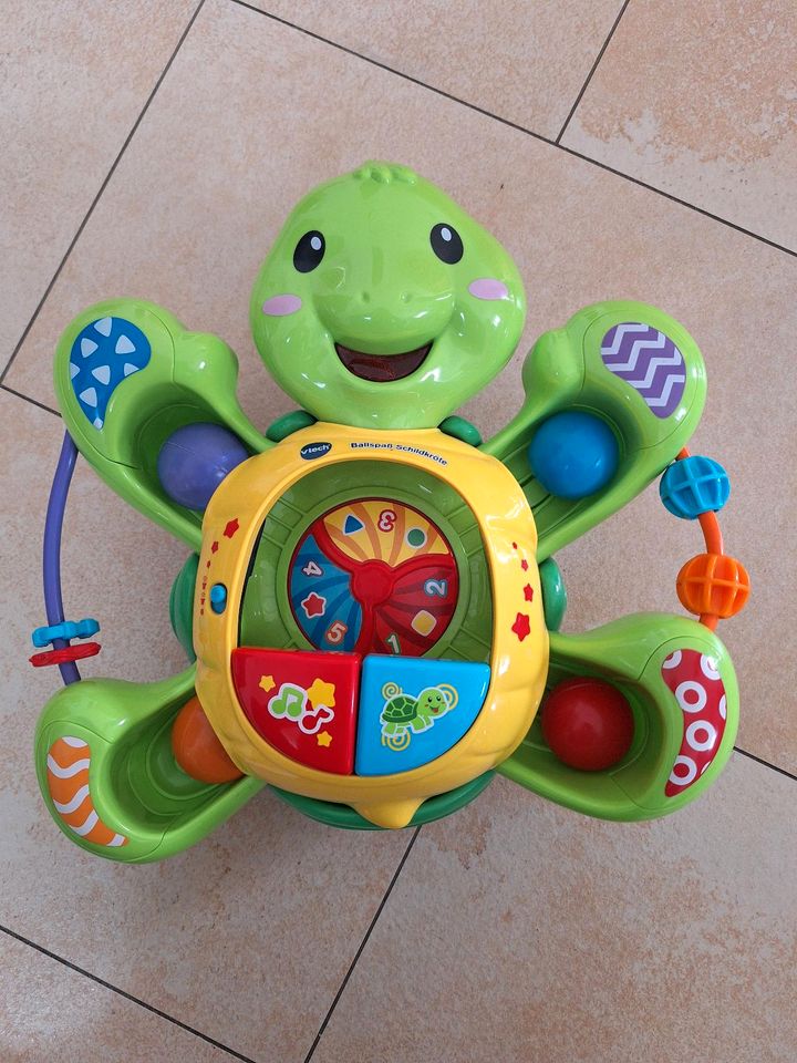 Spielzeug Vtech Ballspaß-Schildkröte ab 12 Monate in Oberpframmern