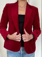 Rarität! Vintage Blazer aus Samt/Velours - Ende der 70er Jahre Pankow - Prenzlauer Berg Vorschau