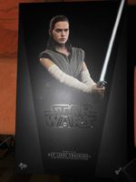 HOT TOYS 1/6 STAR WARS THE LAST JEDI MMS446 REY JEDI TRAINING Leipzig - Knautkleeberg-Knauthain Vorschau