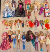 Barbie Sammlung Dreamtopia Ever After High Color Reveal inkl Vers Niedersachsen - Ostrhauderfehn Vorschau