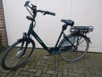 Damen gute Größe E-Bike Fahrrad Batavus sehr guter Akku Nordrhein-Westfalen - Vreden Vorschau