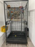 Papageienkäfig / Vögel Innen und Ausengehege Berlin - Tempelhof Vorschau