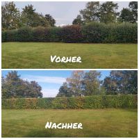 Gartenpflege Hecke schneiden Strauch Baum Rasen Gartenbau Sachsen-Anhalt - Querfurt Vorschau