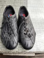 Geox Sneaker Gr. 44 Niedersachsen - Celle Vorschau