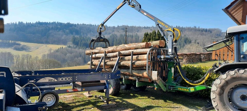 Rückewagen,Holztransport,Brennholz,Stammholz, in Michelfeld