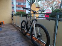 Mountainbike bulls 26 zoll Bonn - Nordstadt  Vorschau