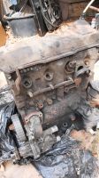 Vw T3 CS Motor Nordrhein-Westfalen - Leopoldshöhe Vorschau