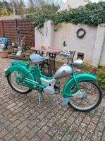 Simson SR2 Diaphangrün Brandenburg - Neustadt (Dosse) Vorschau