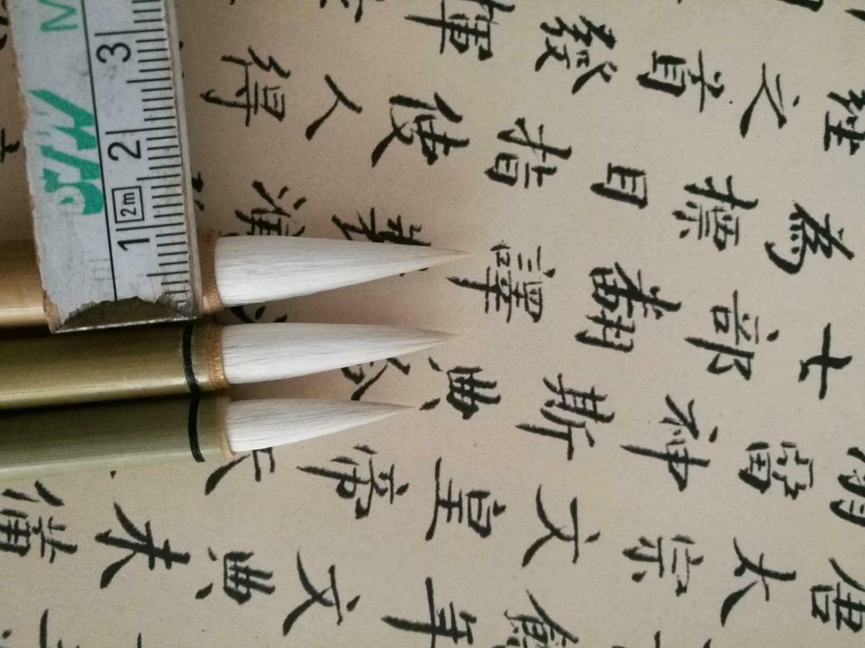 Chinesische Kalligrafie Pinsel Set,Größe S bis L in Pfullingen