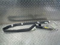 Nissan Qashqai J10 Dachairbag Airbag Modul links 985P1DJ00A Nordrhein-Westfalen - Gelsenkirchen Vorschau