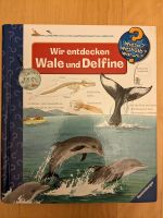 "Wir entdecken Wale und Delfine" Wieso? Weshalb? Warum? 4-7 Baden-Württemberg - Kirchheim unter Teck Vorschau