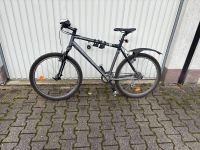 Rockrider Mountainbike ca. 26 Zoll Nordrhein-Westfalen - Recklinghausen Vorschau