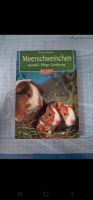 Meerschweinchen Buch Nürnberg (Mittelfr) - Aussenstadt-Sued Vorschau