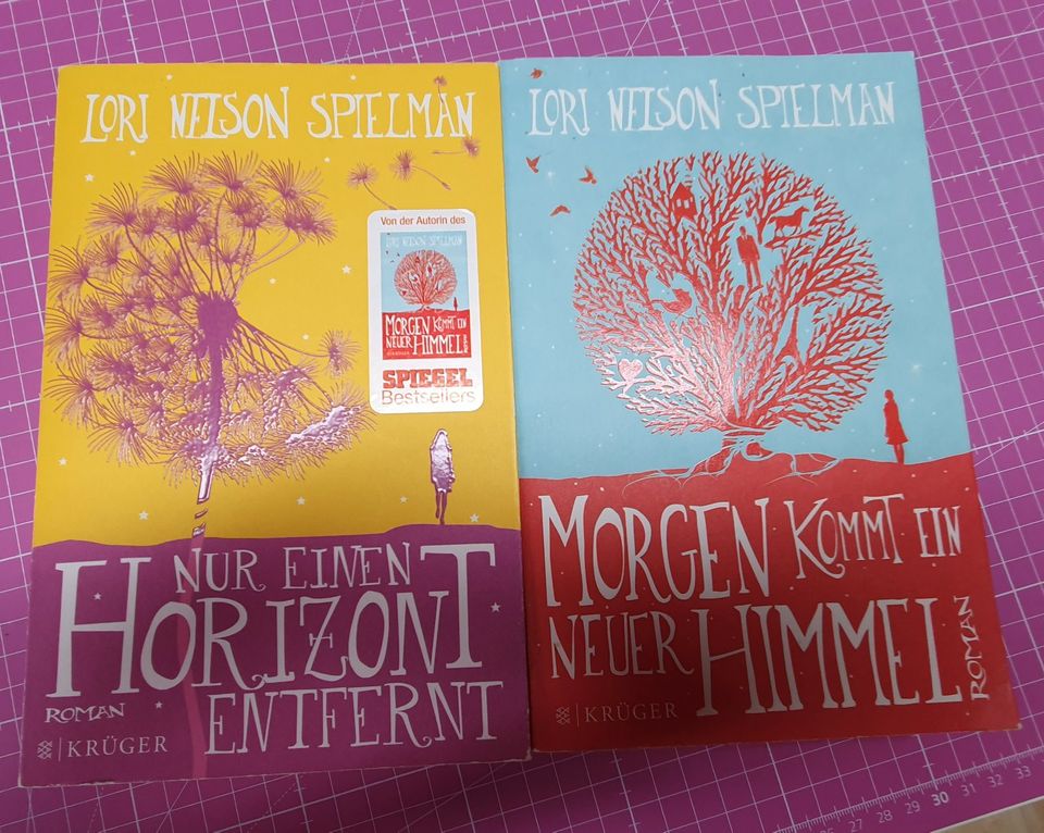 2 Bücher Lori Nelson Spielman 1A in Esch