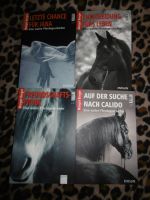 Pferde Bücher Margot Berger 4x Eine wahre Pferdegeschichte Bayern - Rattelsdorf Vorschau