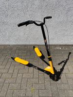 Triscooter Roller Brandenburg - Michendorf Vorschau