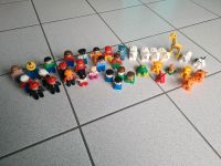 Lego Duplo Menschen Tiere Set Konvult Nordrhein-Westfalen - Oberhausen Vorschau