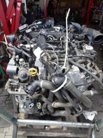 Motor Audi VW Seat Skoda 1.6 TDI CRK CRKA CRKC CRKB 110PS komplet Sachsen - Torgau Vorschau