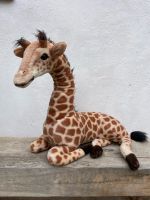 Große Giraffe, Kuscheltier, Stofftier Nordrhein-Westfalen - Alfter Vorschau