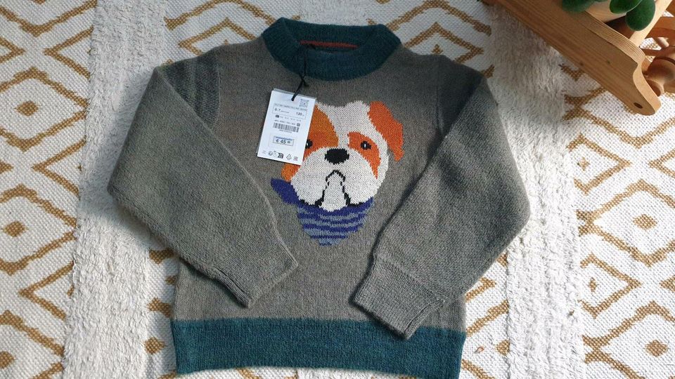 Gr116 ZARA Strickpullover WolleJunge Hund  Limitierte Edition Neu in Darmstadt