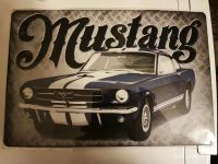 Metallschild Ford Mustang Niedersachsen - Steinfeld Vorschau