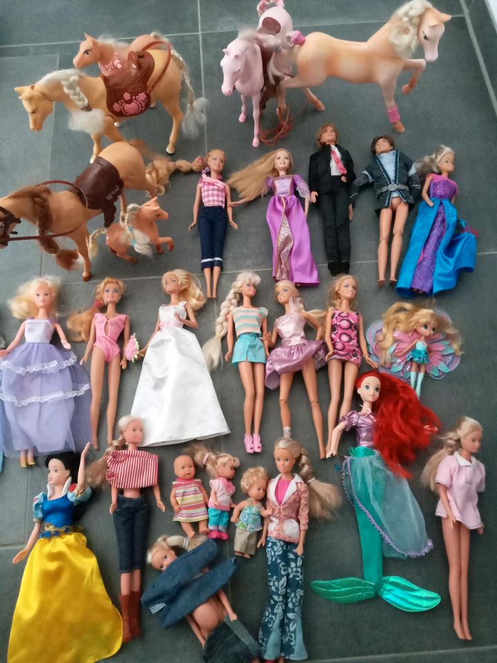 Barbies,Pferde mit Zubhör in Bayern - Weißenburg in Bayern | Puppen günstig  kaufen, gebraucht oder neu | eBay Kleinanzeigen ist jetzt Kleinanzeigen