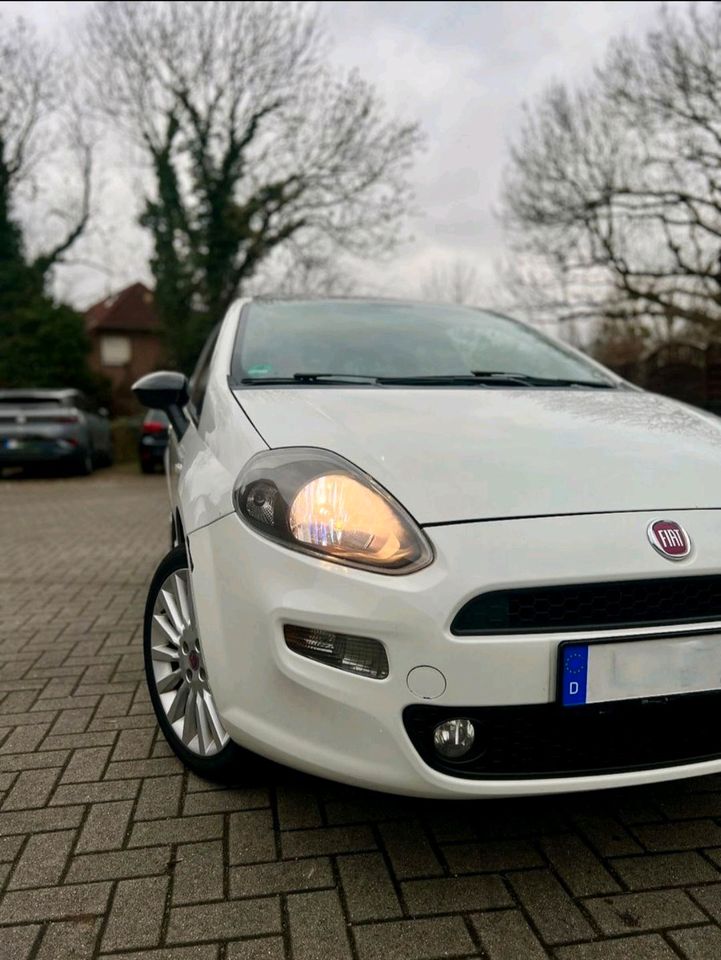 Fiat Punto Twin Air myStyle 105 PS in Obertraubling