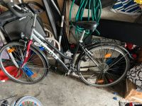 Fahrrad 28 zoll Nordrhein-Westfalen - Hamm Vorschau