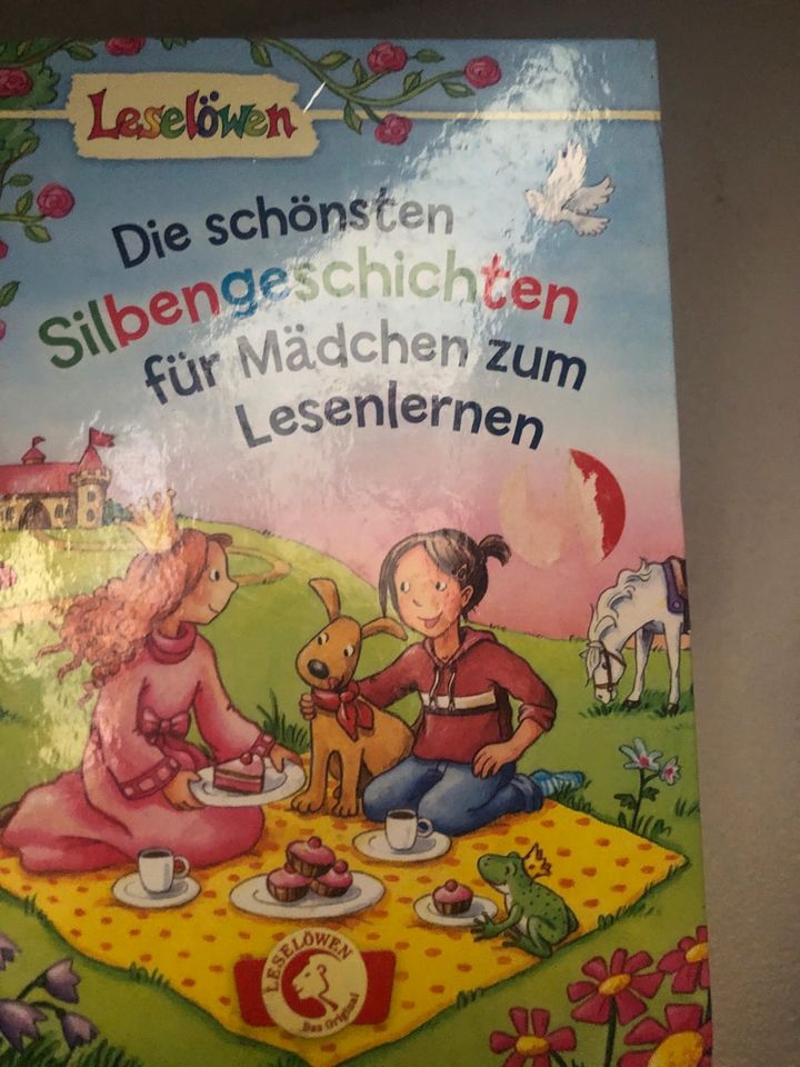 Buch Silbengeschichten in Piesport