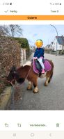 Pony gesucht zum Reiten, Pflegen und Liebhaben Bayern - Jettingen-Scheppach Vorschau