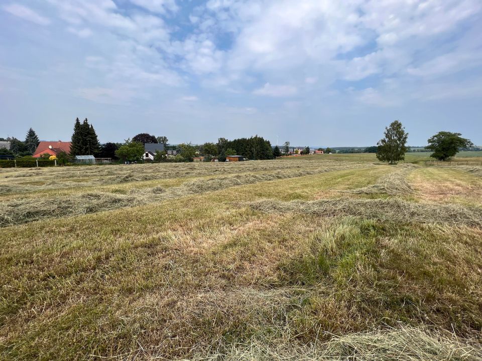 Anwesen mit Potenzial zur Eigenversorgung! in Stollberg