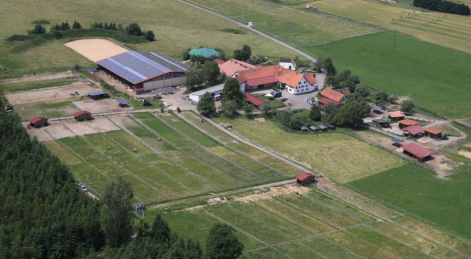 Urlaubsvertretung, Betreuung Pferd/Pony oder bei Krankheitsfall in Rot an der Rot