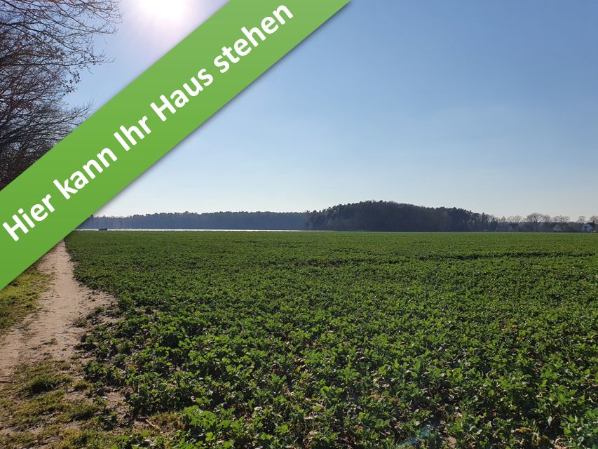 Ihr Zu Hause einfach genießen im kommenden Baugeb. in Wathlingen. in Nienhagen