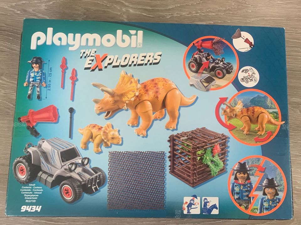 Playmobil The Explorers Set 9434 in Faulungen