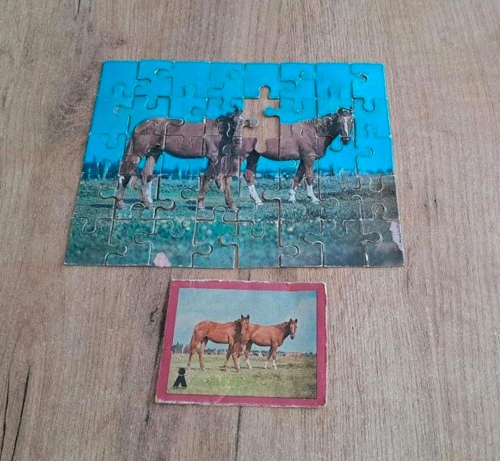 DDR Puzzle Pferde 40 Teile 22,5x17 cm Plasticart in St Gangloff