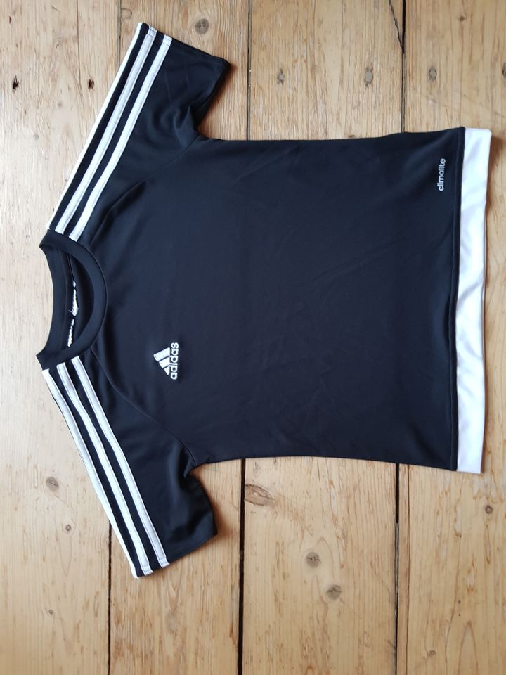 Shirt Adidas Gr. 140 in Potsdam