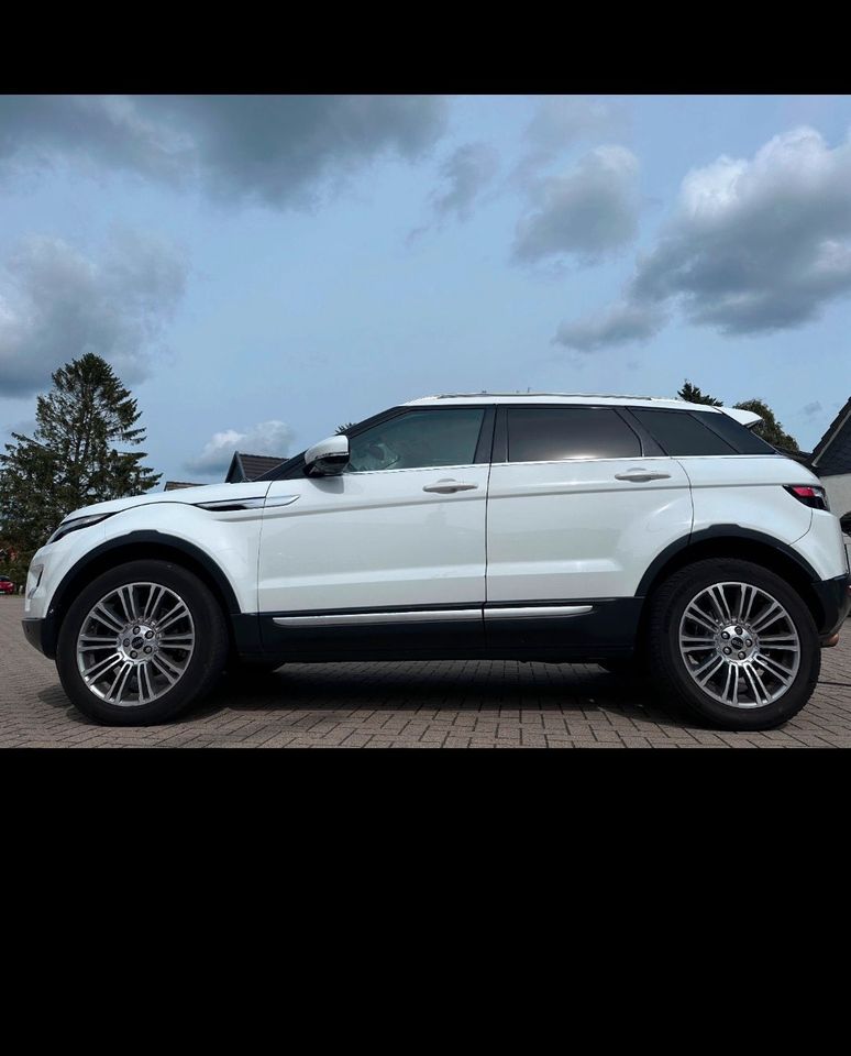 Range Rover Evoque 2.2l 190 PS Automatik in Wenningstedt