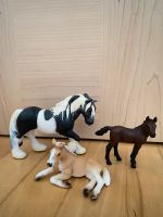 Schleich Pferde Aachen - Kornelimünster/Walheim Vorschau