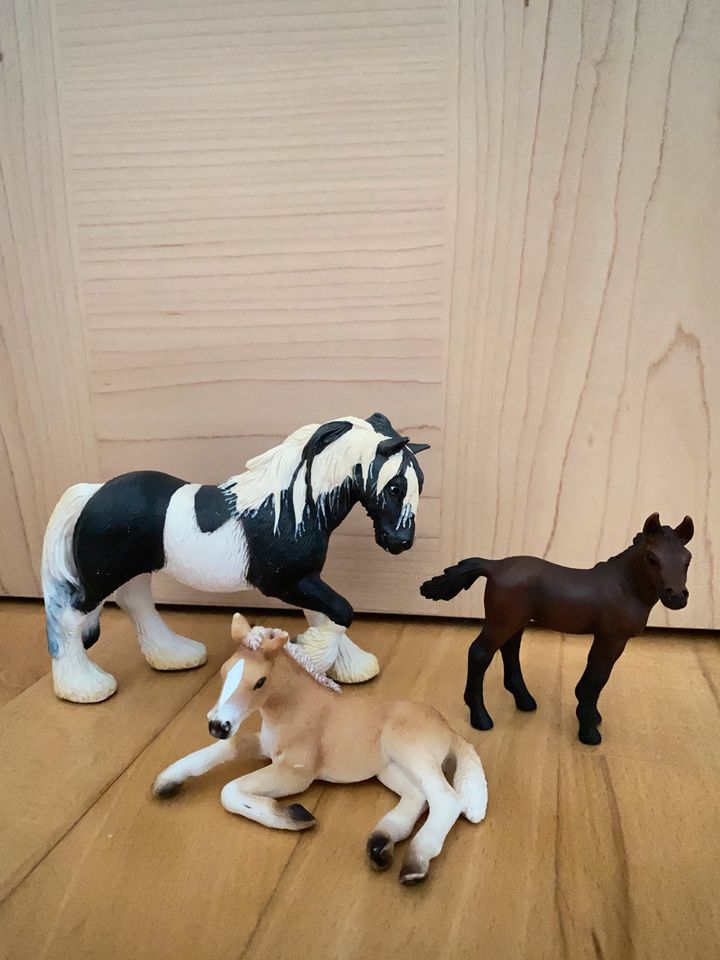 Schleich Pferde in Aachen