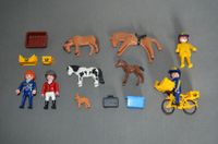 PLAYMOBIL - Reiter Pferd Postboote Fahrrad Hund Nürnberg (Mittelfr) - Kleinreuth b Schweinau Vorschau