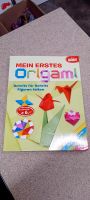 Origami bastelbuch für Kinder Nordrhein-Westfalen - Übach-Palenberg Vorschau