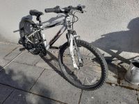 24 Zoll-Kinder-Mountainbike Fuji, weiss, gepflegt Stuttgart - Stuttgart-West Vorschau