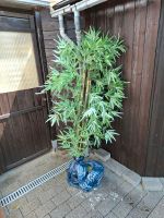Bambus künstlich Hessen - Höchst im Odenwald Vorschau