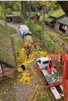 Baumfällung Baumpflege Sturmschaden Niedersachsen - Osterholz-Scharmbeck Vorschau