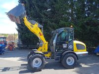 Wacker Neuson WL52 Radlader Hoflader Bagger Rheinland-Pfalz - Brockscheid Vorschau