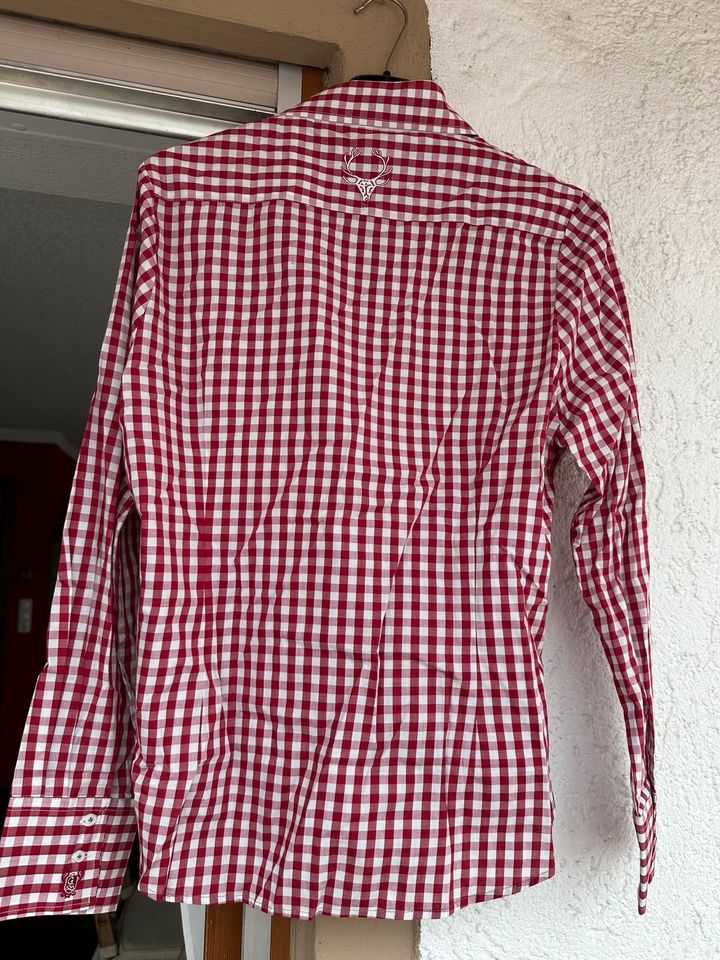 Trachten Bluse Gweih und Silk Gr. 44 und 48 in Massing