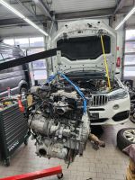 BMW N20B20A Motor 125i 320i 328i X3 X5 2,0 N20 N26 N20B20A Motor Nordrhein-Westfalen - Halle (Westfalen) Vorschau