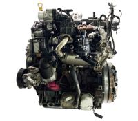 Motor für Ford Transit V362 V363 2,0 EcoBlue Diesel YLF6 105 PS Rheinland-Pfalz - Thalhausen b. Hamm Vorschau